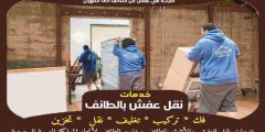 شركة نقل عفش من الطائف الى الظهران الأكثر طلبا عام 2024 | خبراء النقل