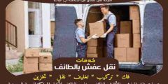 شركة نقل عفش من الطائف الى الباحة الأكثر طلبا عام 2024 | خبراء النقل