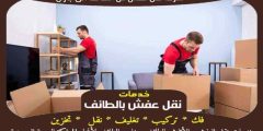 شركة نقل عفش من الطائف الى جازان الاكثر طلبا عام 2024 | خبراء النقل