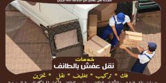 شركة نقل عفش من الطائف الى نجران الأكثر طلبا عام 2025 | خبراء النقل